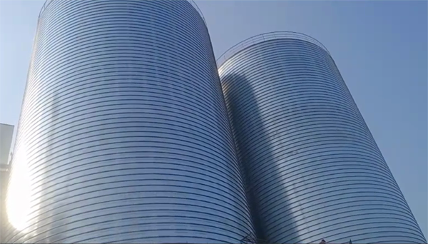 惠济2座混凝土高架卷板仓